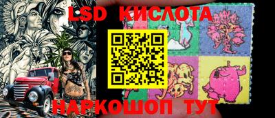 шишки Камышлов