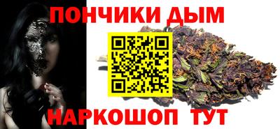шишки Камышлов
