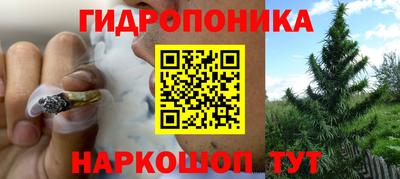 стафф Кандалакша