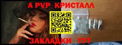 шишки Камышлов